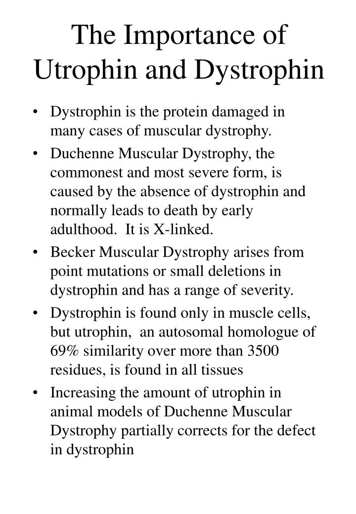 the importance of utrophin and dystrophin