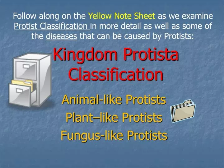 kingdom protista classification