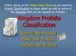 Kingdom Protista Classification - slide 1