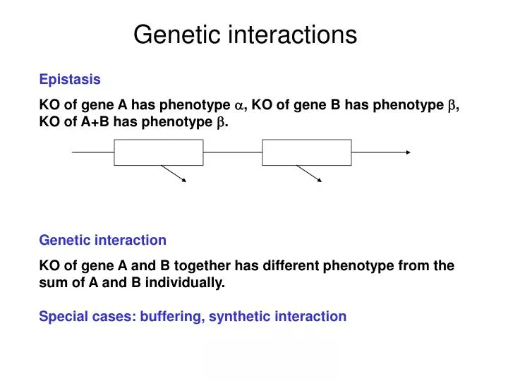 genetic interactions