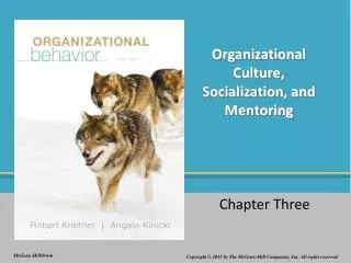 Organizational Culture, Socialization, and Mentoring