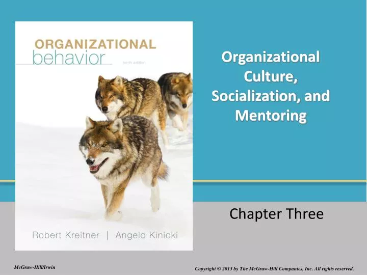 organizational culture socialization and mentoring