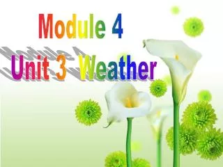 Module 4 Unit 3 Weather