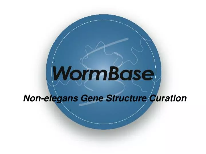 non elegans gene structure curation