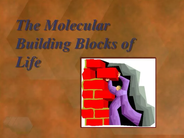the molecular building blocks of life