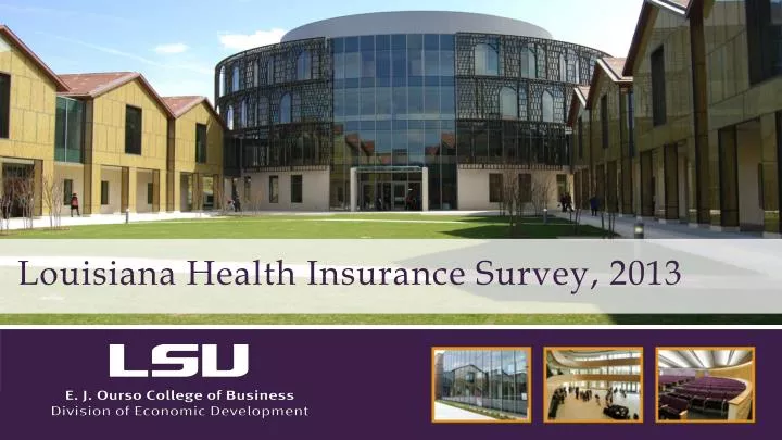 louisiana health insurance survey 2013
