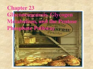 Chapter 23 Gluconeogenesis, Glycogen Metabolism, and the Pentose Phosphate Pathway