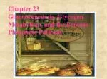 Chapter 23 Gluconeogenesis, Glycogen Metabolism, and the Pentose Phosphate Pathway - slide 1