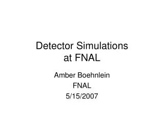 Detector Simulations at FNAL