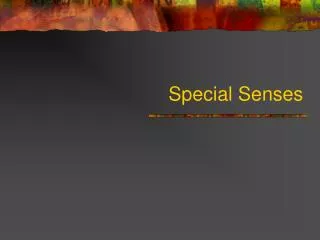 Special Senses