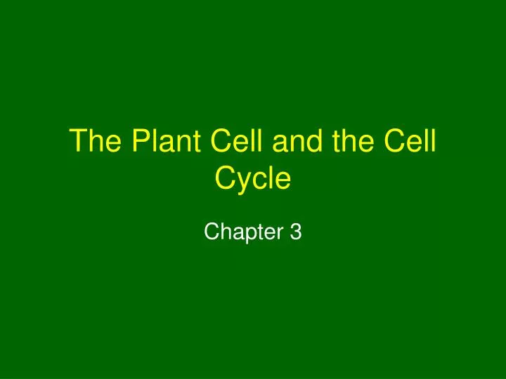 the plant cell and the cell cycle