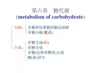 metabolism of carbohydrate