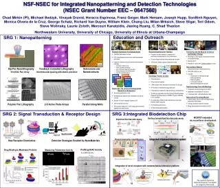 NSF-NSEC for Integrated Nanopatterning and Detection Technologies