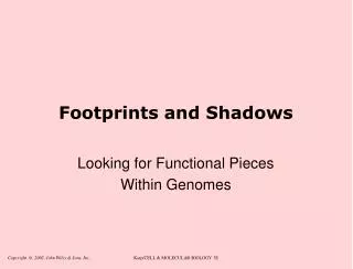 Footprints and Shadows