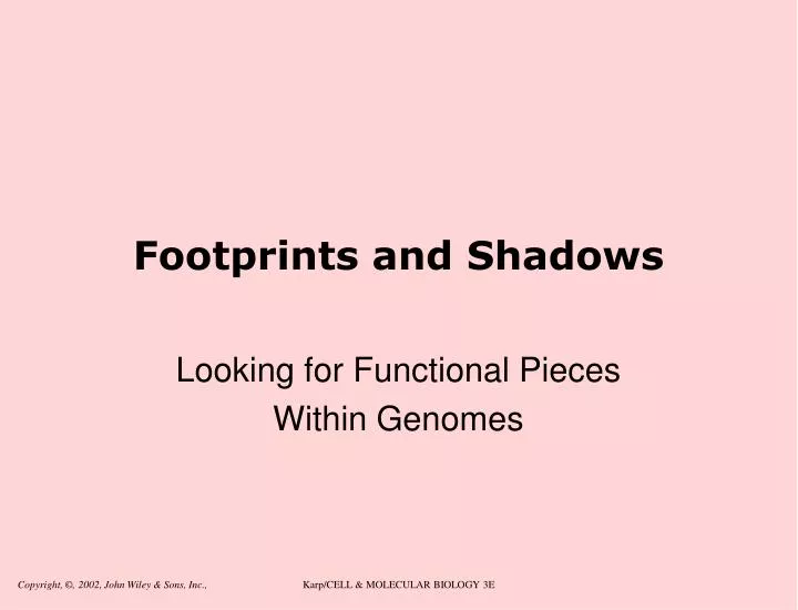 footprints and shadows
