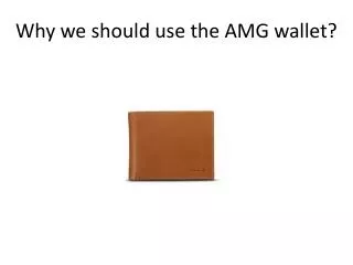 Why we should use the AMG wallet?