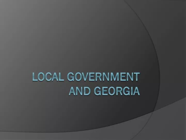 local government and georgia