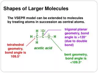 The VSEPR model can be extended to molecules by treating atoms in succession as central atoms.