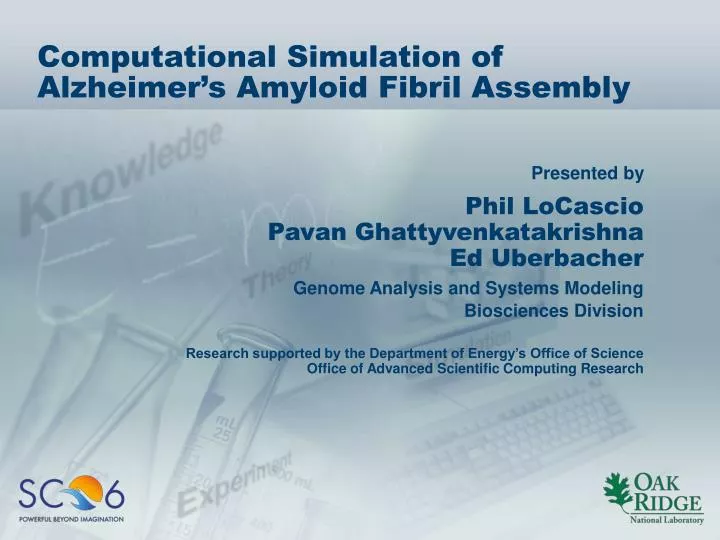 computational simulation of alzheimer s amyloid fibril assembly