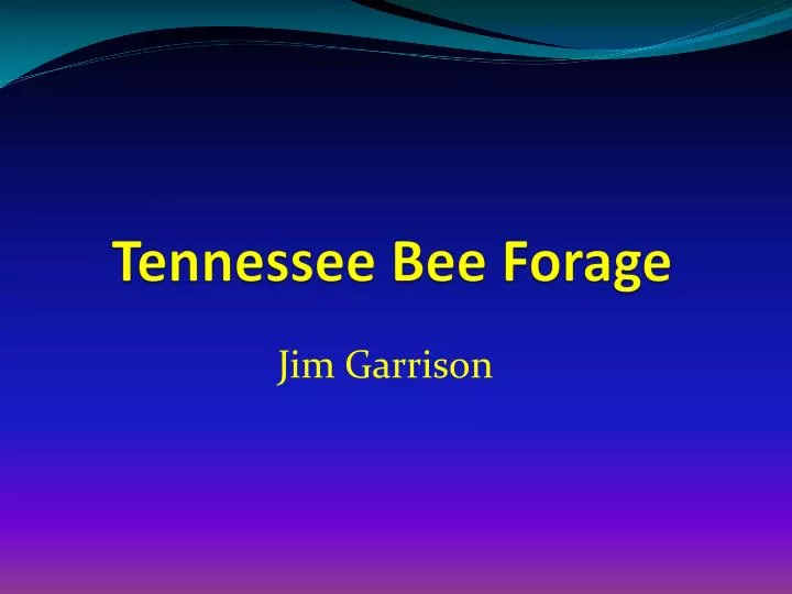 tennessee bee forage