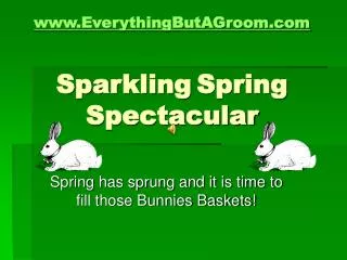 EverythingButAGroom Sparkling Spring Spectacular