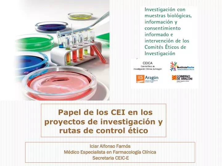 papel de los cei en los proyectos de investigaci n y rutas de control tico