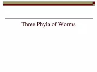 Three Phyla of Worms