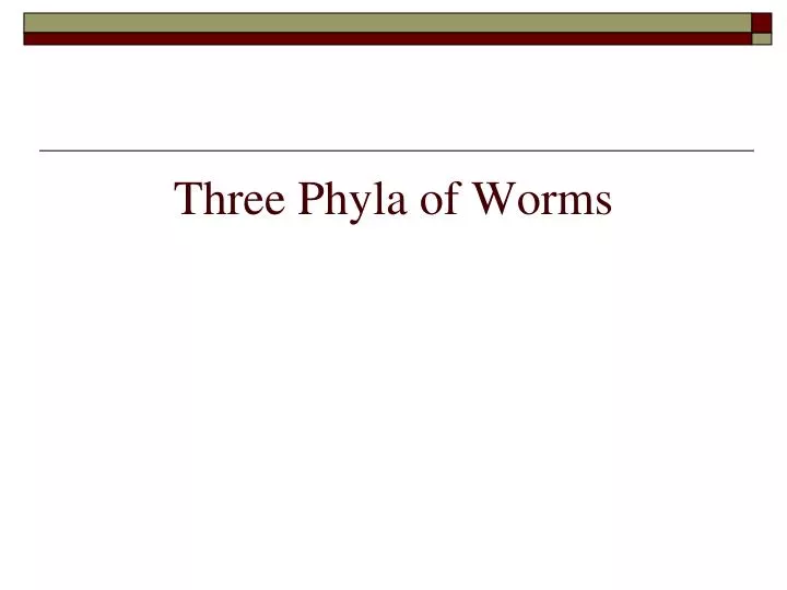 three phyla of worms