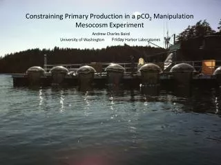 Constraining Primary Production in a pCO 2 Manipulation Mesocosm Experiment