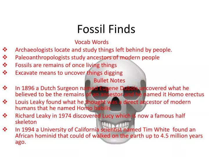 fossil finds