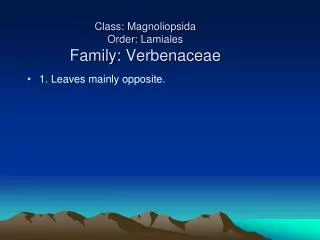 Class: Magnoliopsida Order: Lamiales Family: Verbenaceae