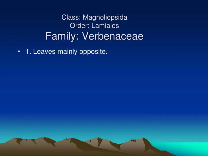 class magnoliopsida order lamiales family verbenaceae