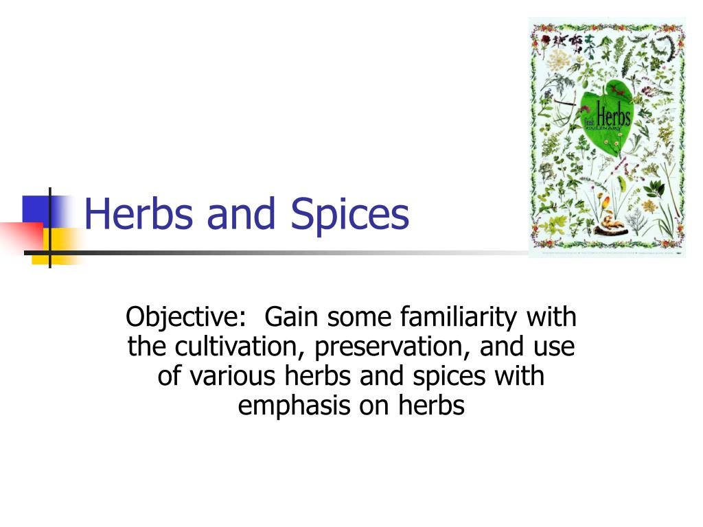 PPT - Herbs and Spices PowerPoint Presentation, free download - ID:5489542
