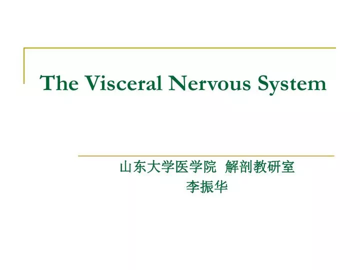 the visceral nervous system