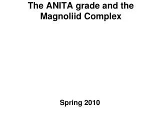 The ANITA grade and the Magnoliid Complex