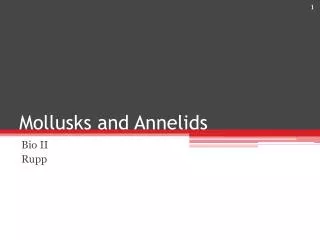 Mollusks and Annelids