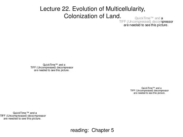 lecture 22 evolution of multicellularity colonization of land