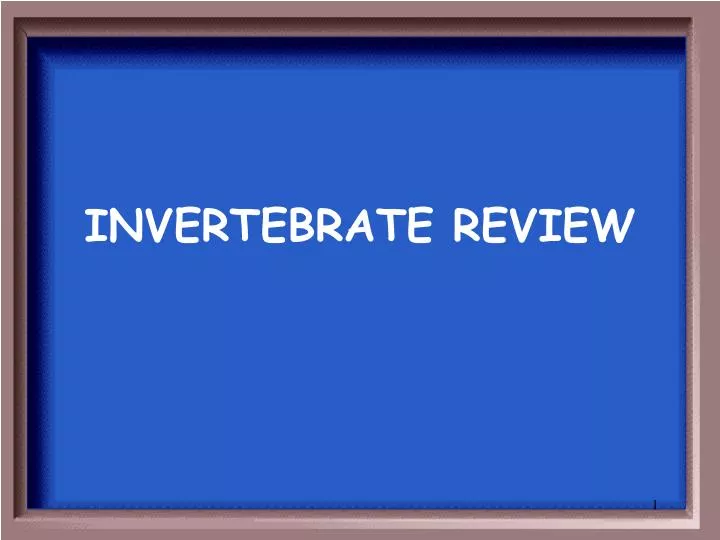 invertebrate review