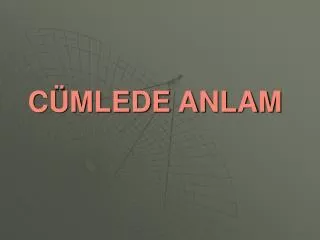 c mlede anlam