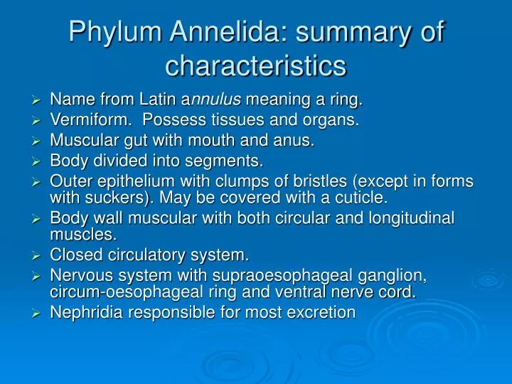 phylum annelida summary of characteristics