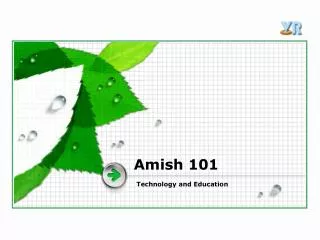 Amish 101