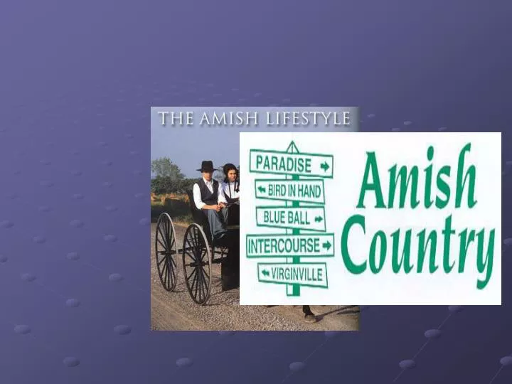 amish world