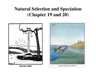 Natural Selection and Speciation (Chapter 19 and 20)