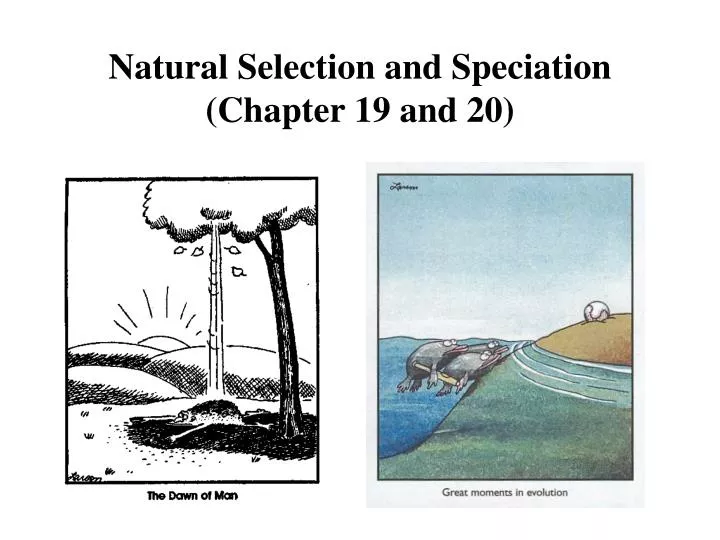 natural selection and speciation chapter 19 and 20
