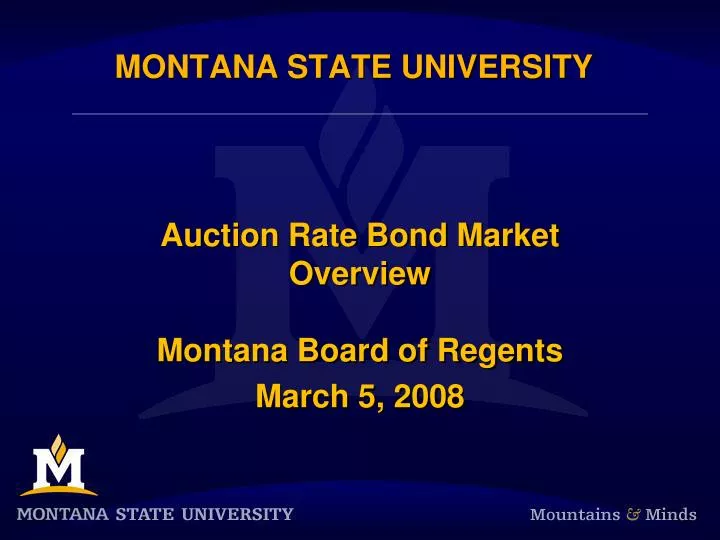 montana state university