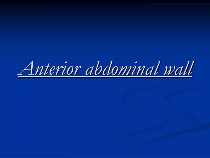 anterior abdominal wall