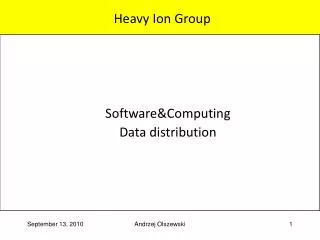 Heavy Ion Group
