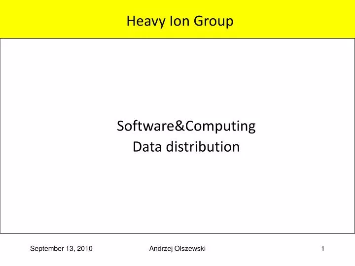 heavy ion group