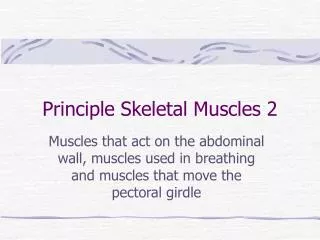 Principle Skeletal Muscles 2