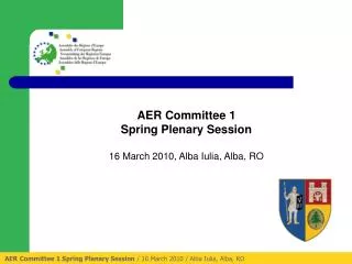 AER Committee 1 Spring Plenary Session / 16 March 2010 / Alba Iulia, Alba, RO
